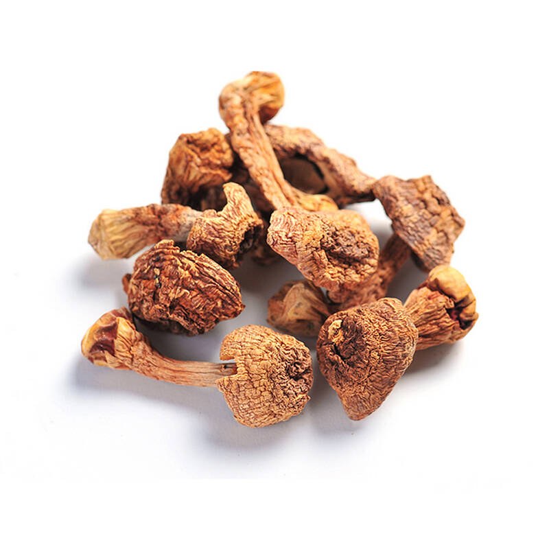 谷綠農(nóng)品四川姬松茸 來(lái)自山野的饋贈(zèng)，干貨中的珍品