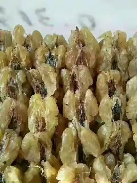 大山深處的土特產(chǎn)品 自然的饋贈(zèng)與農(nóng)人的堅(jiān)守