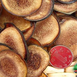 鹿茸粉片 來(lái)自樺甸山里人家的珍貴滋補(bǔ)品